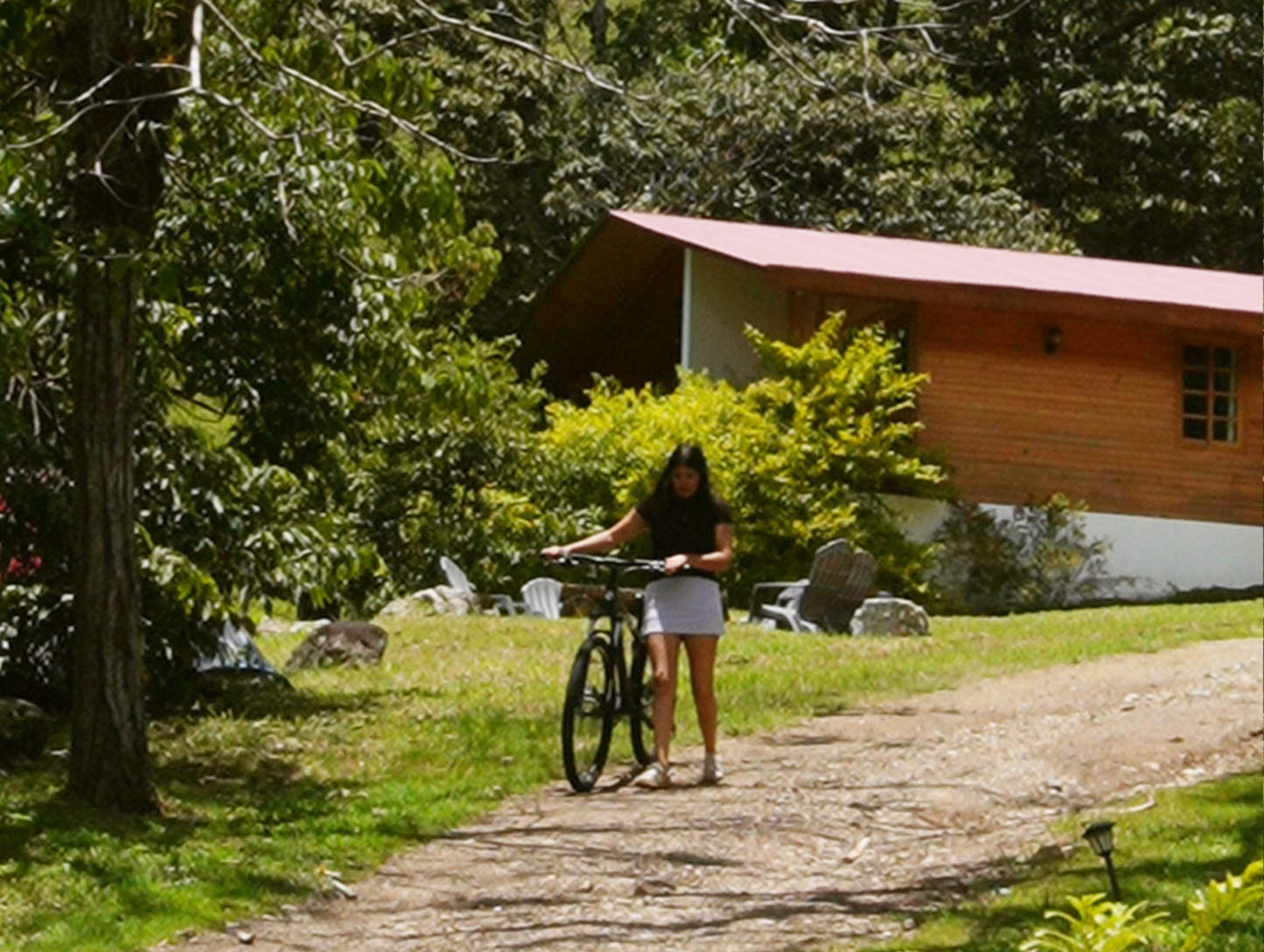 PASEO EN BICICLETA - desde
