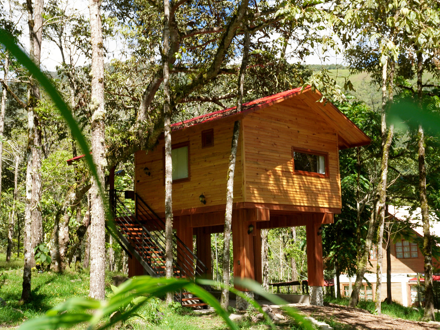 CABAÑA - ORQUIDEA - desde