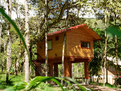 CABAÑA - ORQUIDEA - desde