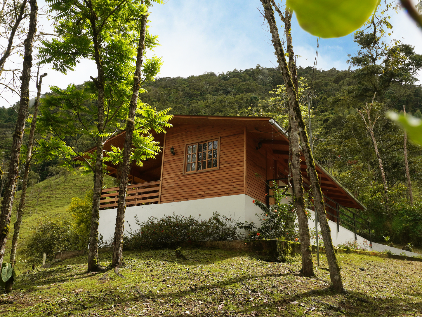 CABAÑA - NOGAL -         desde