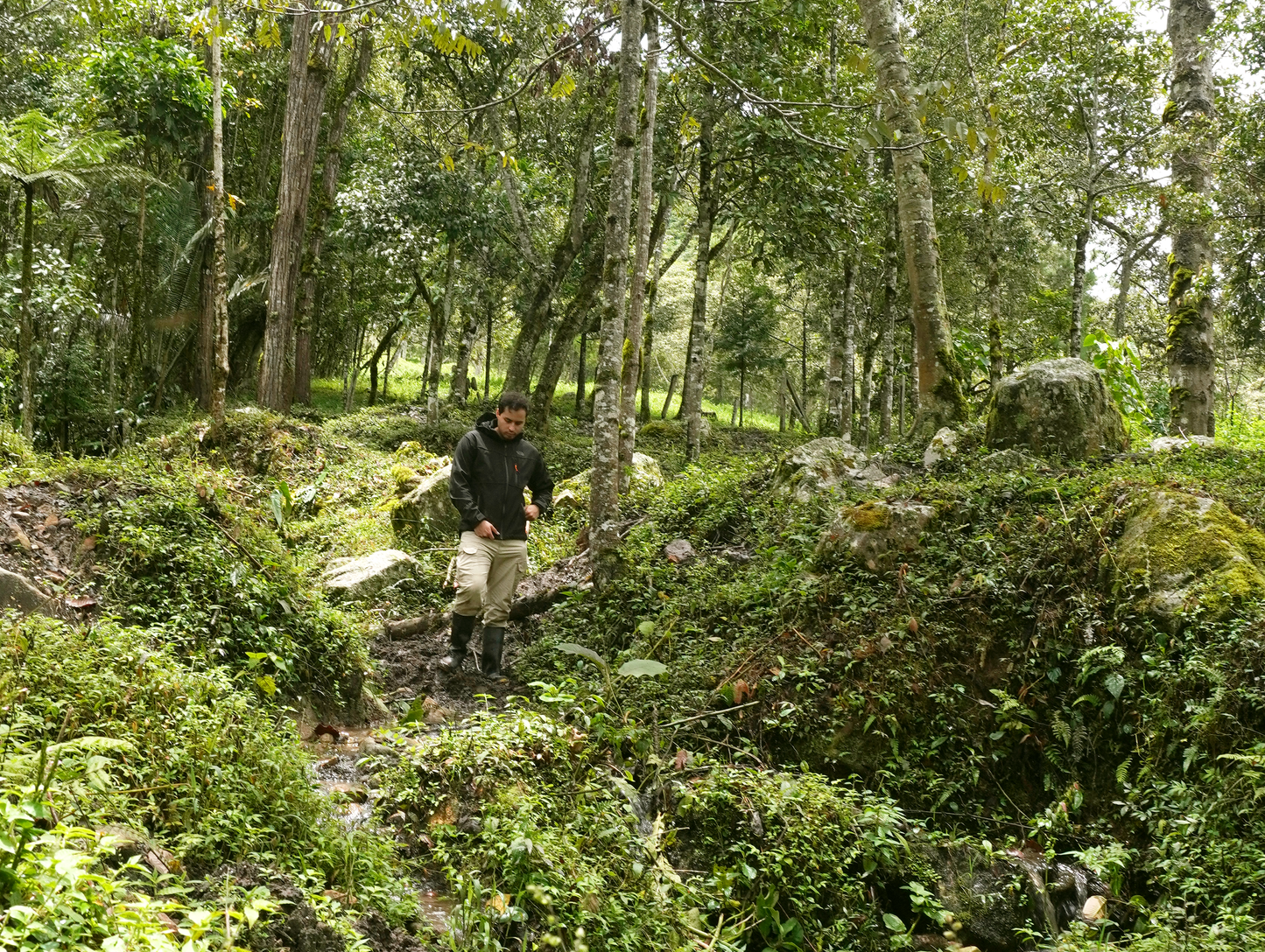 PASEO EN EL SENDERO