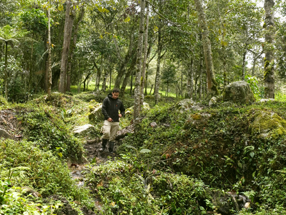 PASEO EN EL SENDERO