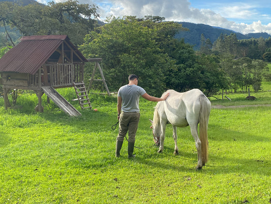INTERACCIÓN CON ANIMALES